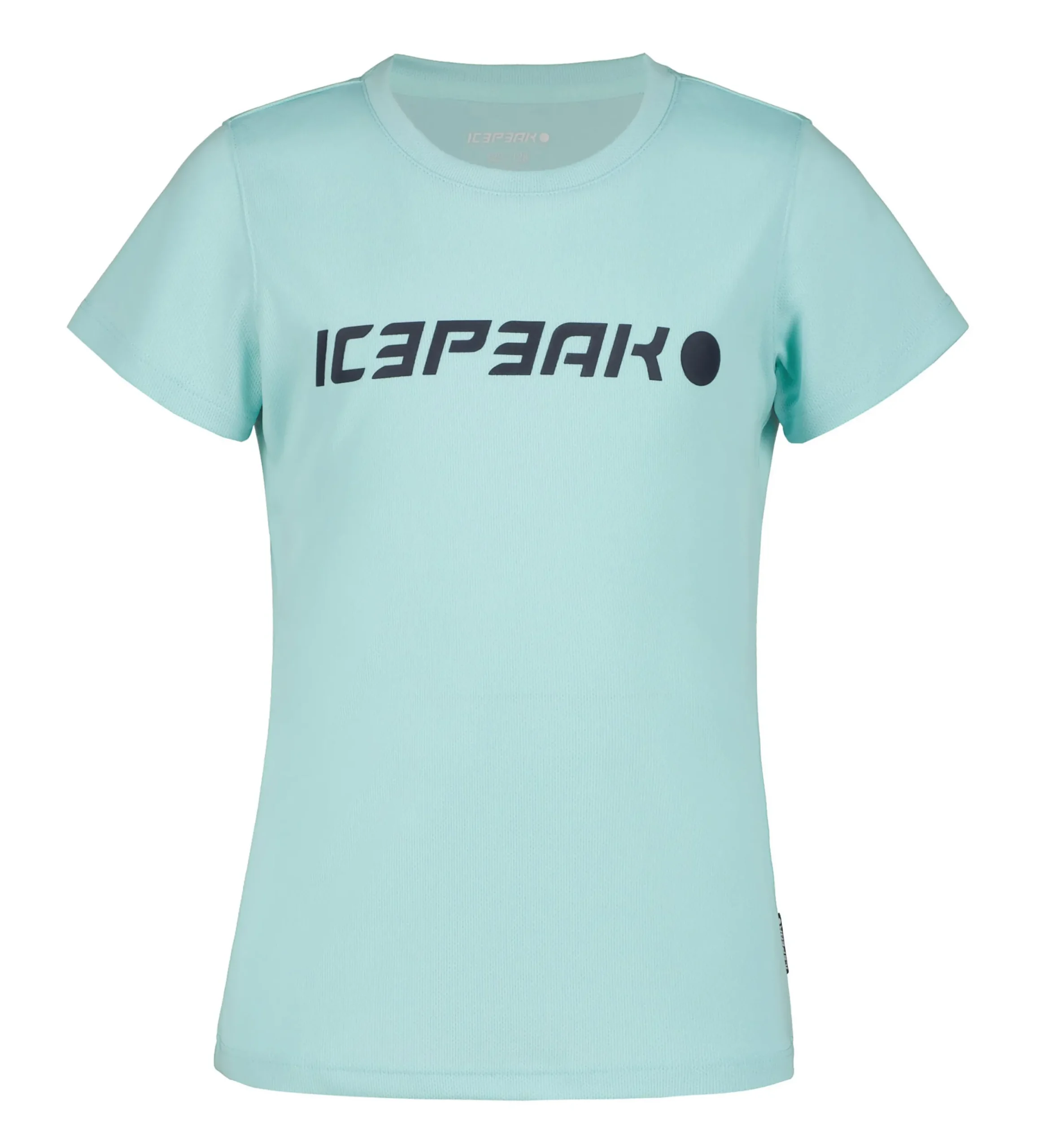 Kearney Jr>ICEPEAK Online