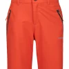 Konz Jr>ICEPEAK Store