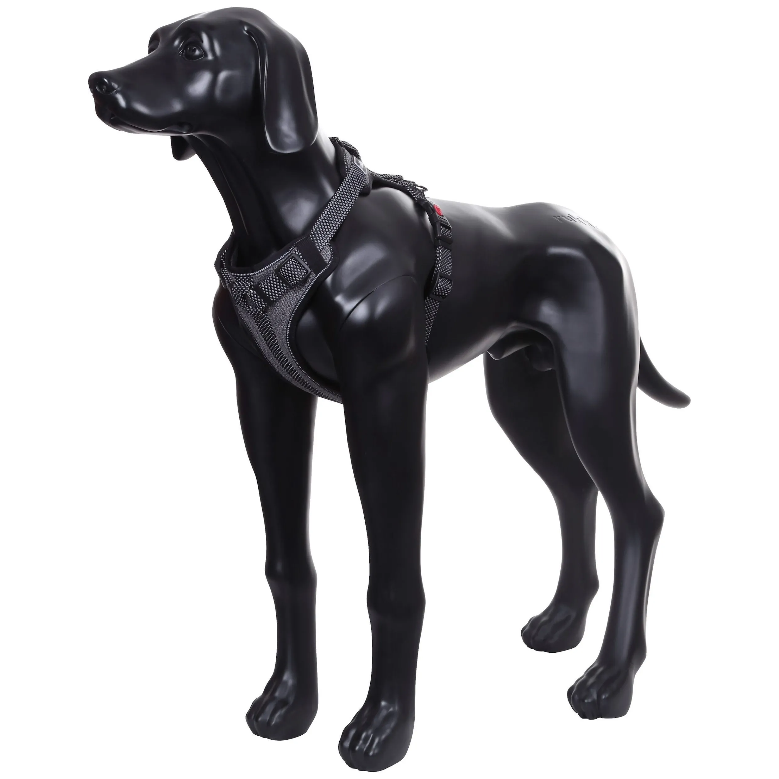 Star Harness>RUKKA PETS Store